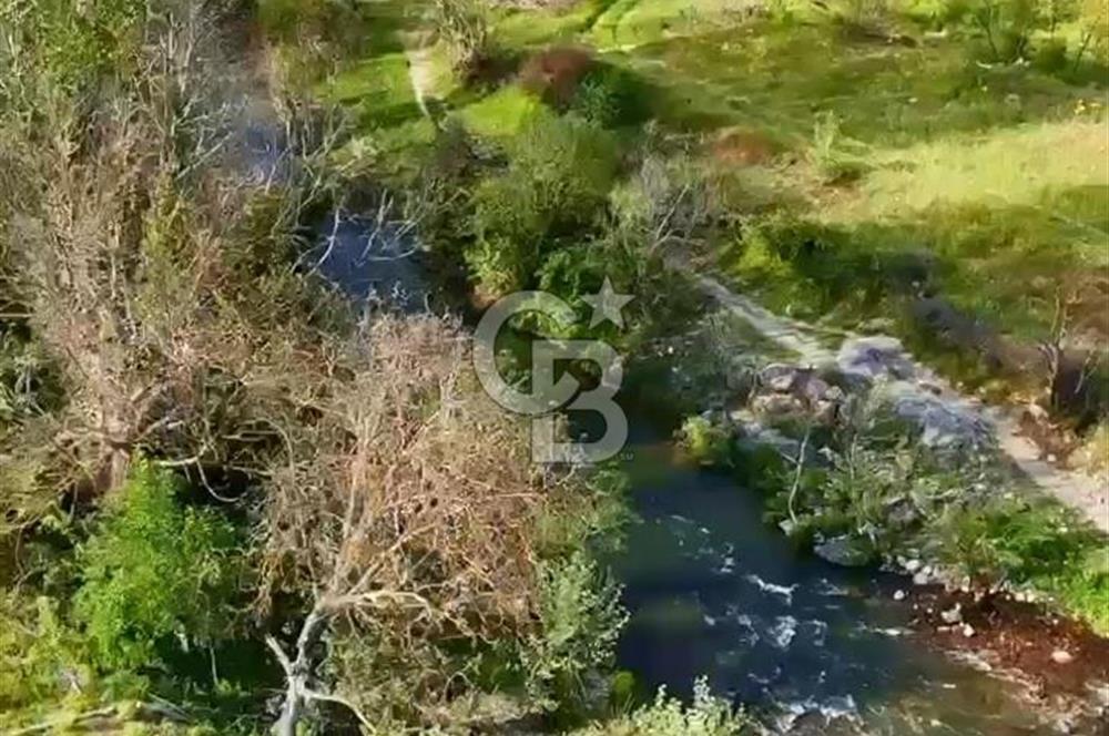 BALIKESİR BİGADİÇ TOPALAK'DA 424 M2 BAHÇE