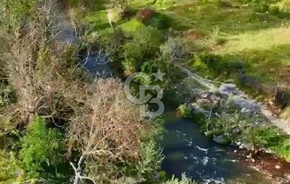 BALIKESİR BİGADİÇ TOPALAK'DA 424 M2 BAHÇE