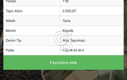 SARI IŞIKTA KAÇIRILMICAK YATIRM FIRSATI TARLA