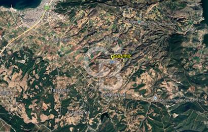 ÇANAKKALE MERKEZ AŞAĞIOKÇULAR'DA SATILIK 7650 M2 MÜSTAKİL ARAZİ