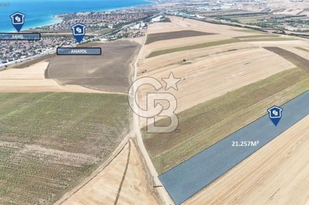 SATILIK SİLİVRİ SEMİZKUMLARDA TEK TAPU TARLA