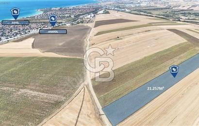 SATILIK SİLİVRİ SEMİZKUMLARDA TEK TAPU TARLA