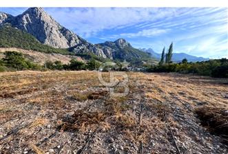 HACISEKİLİLER MAHALLESİNDE 1750 M2 KİRALIK MASRAFSIZ TARLA