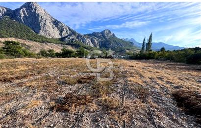 HACISEKİLİLER MAHALLESİNDE 1750 M2 KİRALIK MASRAFSIZ TARLA
