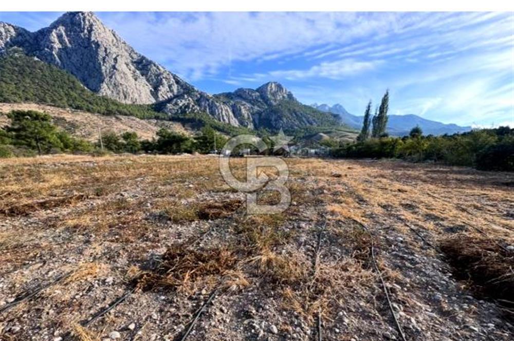 HACISEKİLİLER MAHALLESİNDE 1750 M2 KİRALIK MASRAFSIZ TARLA