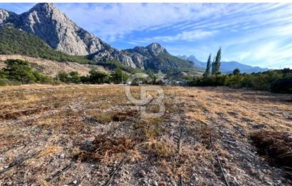 HACISEKİLİLER MAHALLESİNDE 1750 M2 KİRALIK MASRAFSIZ TARLA