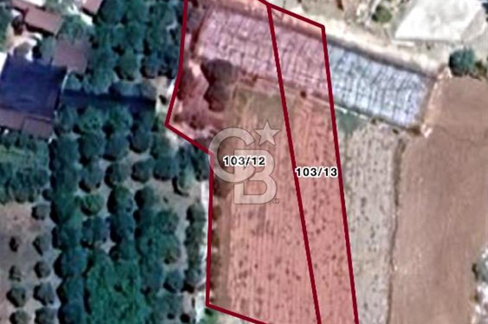 HACISEKİLİLER MAHALLESİNDE 1750 M2 KİRALIK MASRAFSIZ TARLA