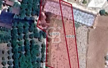 HACISEKİLİLER MAHALLESİNDE 1750 M2 KİRALIK MASRAFSIZ TARLA