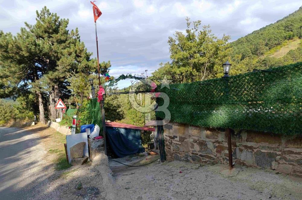 İZMİR KEMALPAŞA KAMBERLER KÖYÜ GİRİŞİNDE MÜSTAKİL EŞYALI EV VE BAHÇE