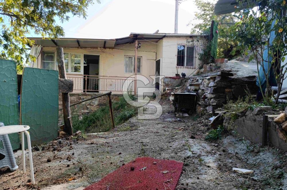 İZMİR KEMALPAŞA KAMBERLER KÖYÜ GİRİŞİNDE MÜSTAKİL EŞYALI EV VE BAHÇE