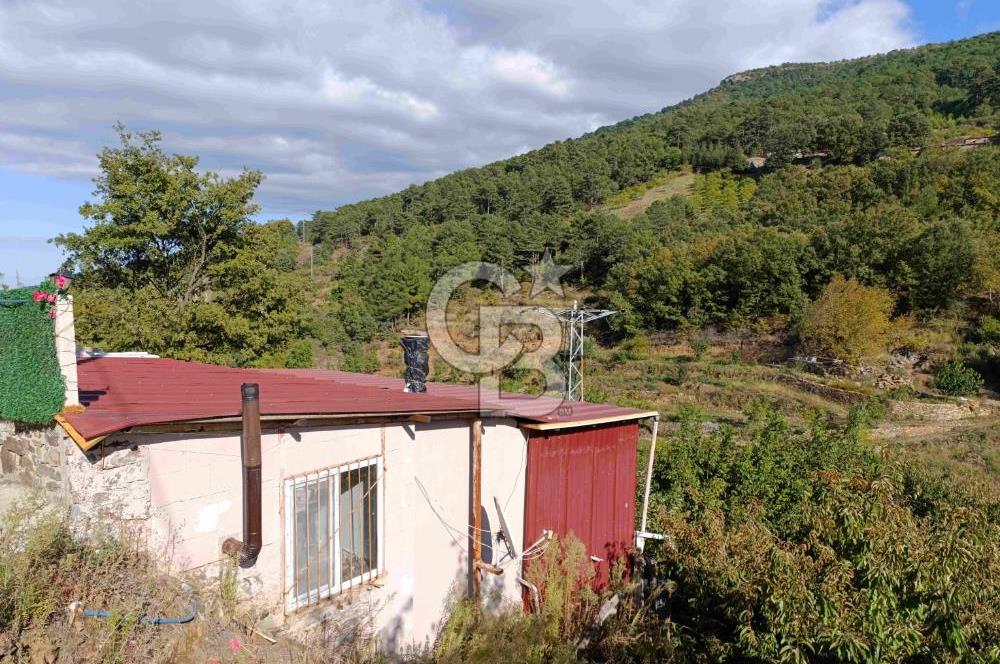 İZMİR KEMALPAŞA KAMBERLER KÖYÜ GİRİŞİNDE MÜSTAKİL EŞYALI EV VE BAHÇE