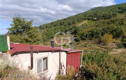 İZMİR KEMALPAŞA KAMBERLER KÖYÜ GİRİŞİNDE MÜSTAKİL EŞYALI EV VE BAHÇE
