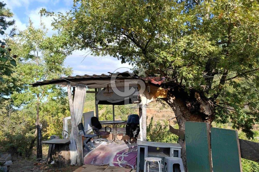 İZMİR KEMALPAŞA KAMBERLER KÖYÜ GİRİŞİNDE MÜSTAKİL EŞYALI EV VE BAHÇE