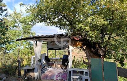 İZMİR KEMALPAŞA KAMBERLER KÖYÜ GİRİŞİNDE MÜSTAKİL EŞYALI EV VE BAHÇE