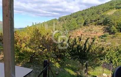 İZMİR KEMALPAŞA KAMBERLER KÖYÜ GİRİŞİNDE MÜSTAKİL EŞYALI EV VE BAHÇE