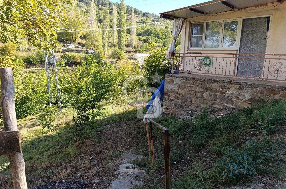 İZMİR KEMALPAŞA KAMBERLER KÖYÜ GİRİŞİNDE MÜSTAKİL EŞYALI EV VE BAHÇE