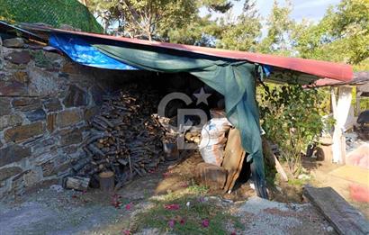 İZMİR KEMALPAŞA KAMBERLER KÖYÜ GİRİŞİNDE MÜSTAKİL EŞYALI EV VE BAHÇE