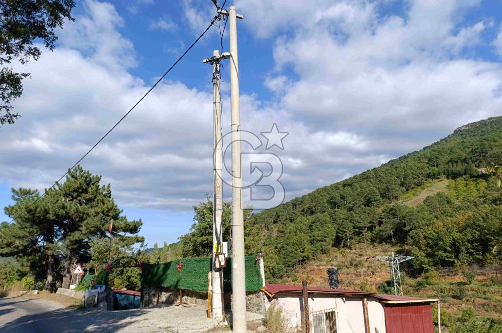 İZMİR KEMALPAŞA KAMBERLER KÖYÜ GİRİŞİNDE MÜSTAKİL EŞYALI EV VE BAHÇE