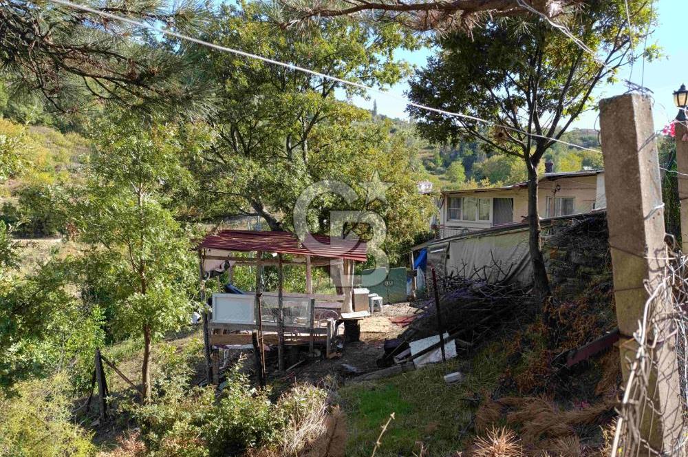 İZMİR KEMALPAŞA KAMBERLER KÖYÜ GİRİŞİNDE MÜSTAKİL EŞYALI EV VE BAHÇE