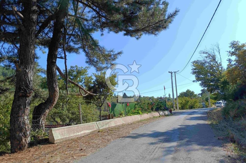 İZMİR KEMALPAŞA KAMBERLER KÖYÜ GİRİŞİNDE MÜSTAKİL EŞYALI EV VE BAHÇE