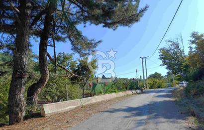 İZMİR KEMALPAŞA KAMBERLER KÖYÜ GİRİŞİNDE MÜSTAKİL EŞYALI EV VE BAHÇE