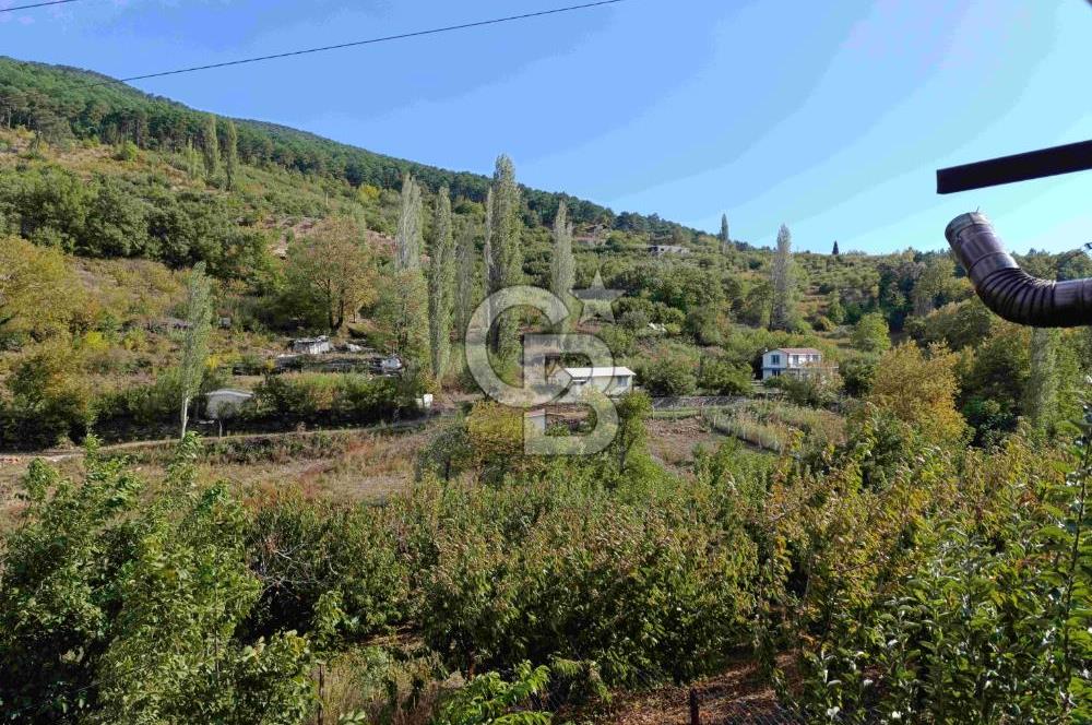 İZMİR KEMALPAŞA KAMBERLER KÖYÜ GİRİŞİNDE MÜSTAKİL EŞYALI EV VE BAHÇE