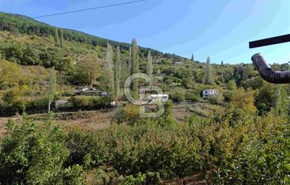 İZMİR KEMALPAŞA KAMBERLER KÖYÜ GİRİŞİNDE MÜSTAKİL EŞYALI EV VE BAHÇE