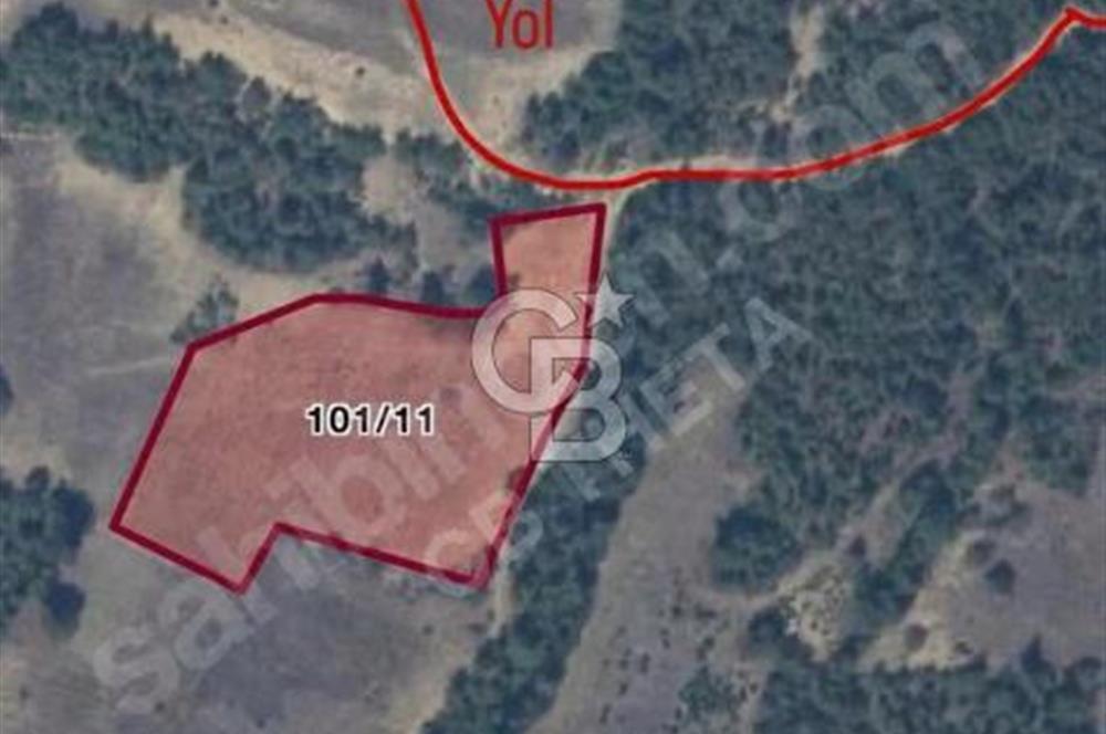 SAKARYA GEYVEDE 9396 m2 YATIRIMLIK TARLA