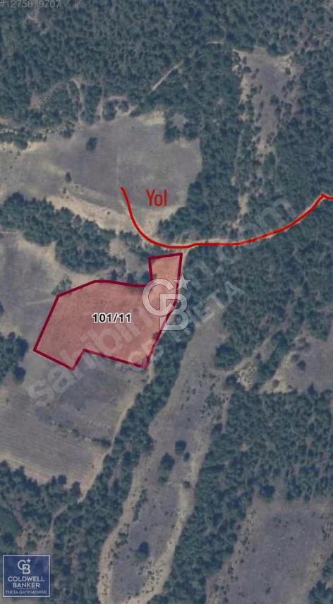 SAKARYA GEYVEDE 9396 m2 YATIRIMLIK TARLA