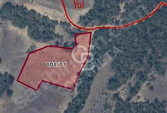 SAKARYA GEYVEDE 9396 m2 YATIRIMLIK TARLA