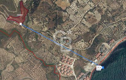 Tekirdağ Şarköy Hoşköy’de İmara 60 m Yatırımlık Arsa