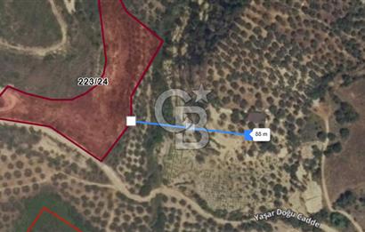 Tekirdağ Şarköy Hoşköy’de İmara 60 m Yatırımlık Arsa