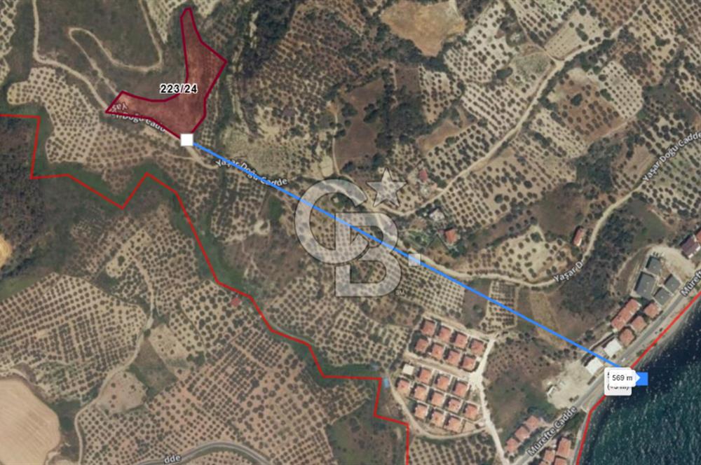 Tekirdağ Şarköy Hoşköy’de İmara 60 m Yatırımlık Arsa