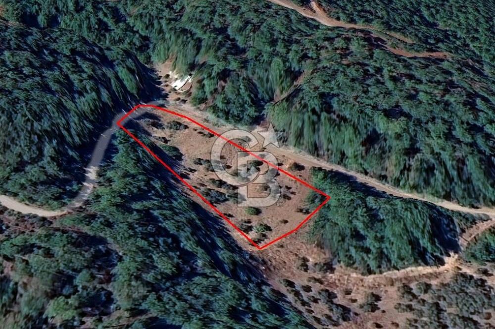 Kemalpaşa Yeşilköy Çatalkavakta 4.821 m² Bağ Arazisi