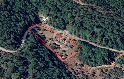 Kemalpaşa Yeşilköy Çatalkavakta 4.821 m² Bağ Arazisi