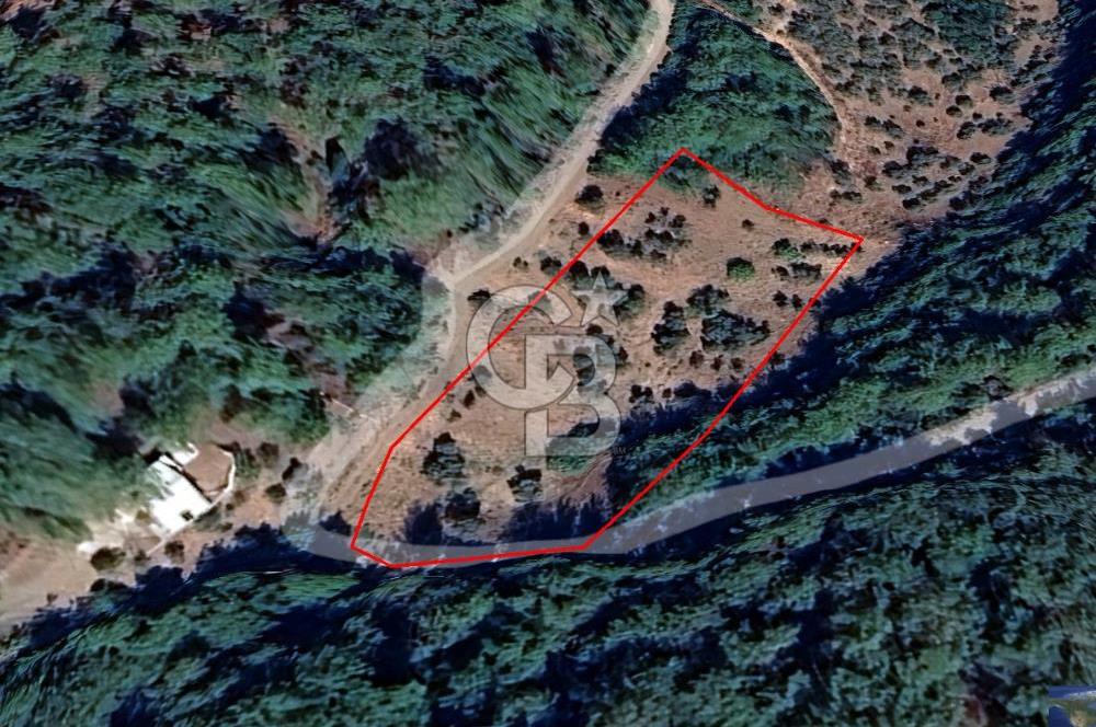Kemalpaşa Yeşilköy Çatalkavakta 4.821 m² Bağ Arazisi