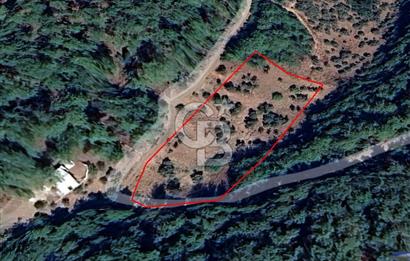 Kemalpaşa Yeşilköy Çatalkavakta 4.821 m² Bağ Arazisi