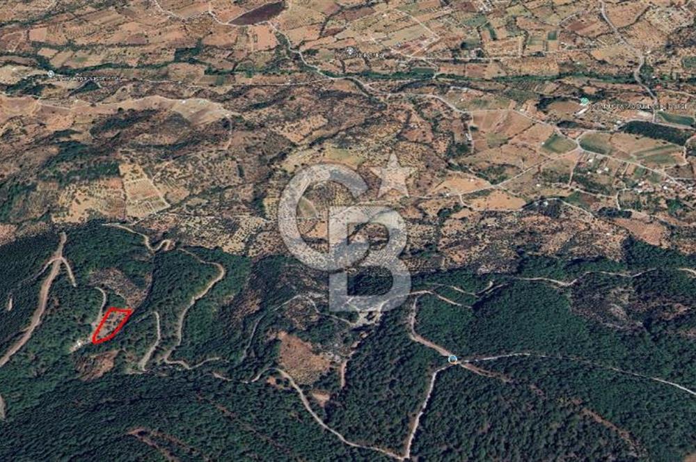 Kemalpaşa Yeşilköy Çatalkavakta 4.821 m² Bağ Arazisi