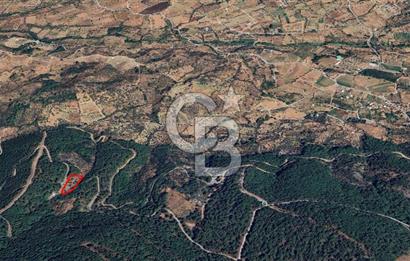 Kemalpaşa Yeşilköy Çatalkavakta 4.821 m² Bağ Arazisi