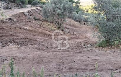 Kemalpaşa Yeşilköy Çatalkavakta 4.821 m² Bağ Arazisi