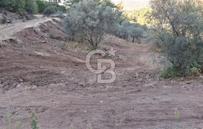 Kemalpaşa Yeşilköy Çatalkavakta 4.821 m² Bağ Arazisi