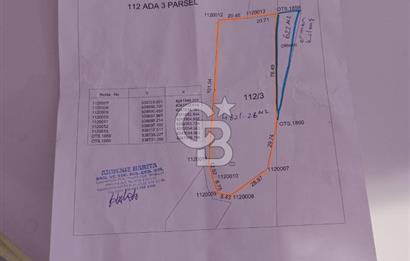 Kemalpaşa Yeşilköy Çatalkavakta 4.821 m² Bağ Arazisi