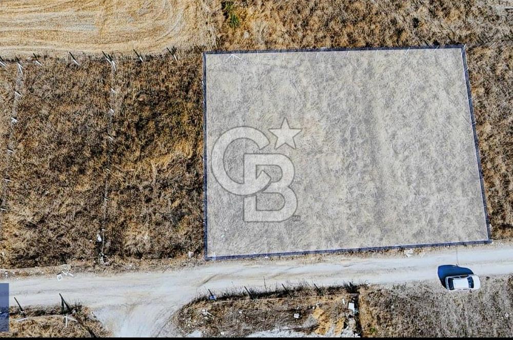 SATILIK TARLA MENDERES GÖLCÜKLERDE 300 m2 ELEKTRİK VE SU MEVCUT