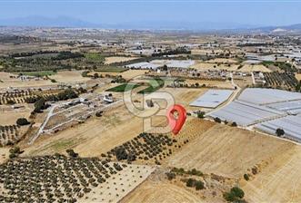 SATILIK TARLA MENDERES DEĞİRMENDEREDE 8.573 m2 ASFALT YOLA SIFIR