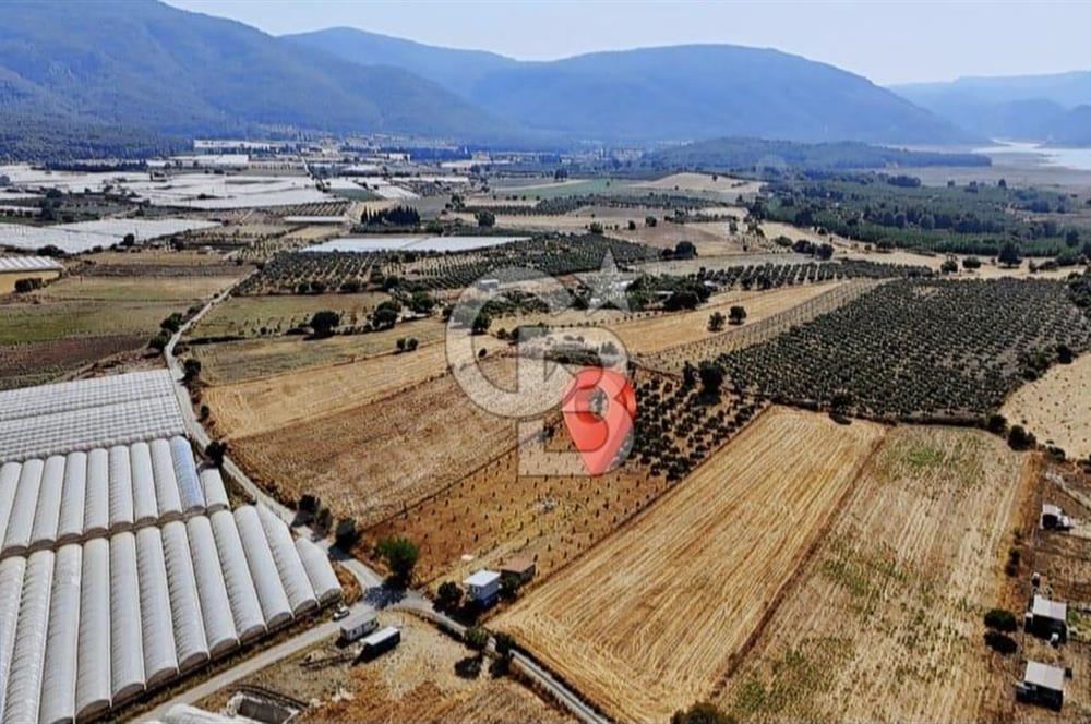 SATILIK TARLA MENDERES DEĞİRMENDEREDE 8.573 m2 ASFALT YOLA SIFIR