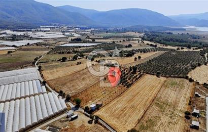 SATILIK TARLA MENDERES DEĞİRMENDEREDE 8.573 m2 ASFALT YOLA SIFIR