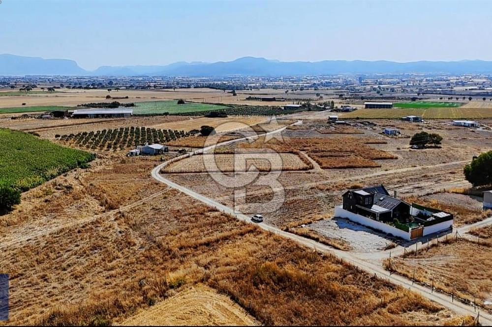 SATILIK TARLA MENDERES GÖLCÜKLERDE 300 m2 ELEKTRİK VE SU MEVCUT