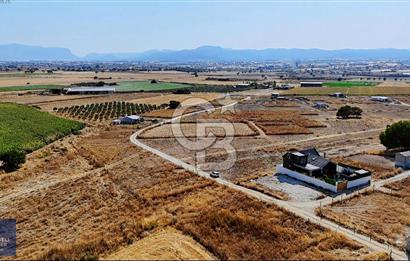 SATILIK TARLA MENDERES GÖLCÜKLERDE 300 m2 ELEKTRİK VE SU MEVCUT