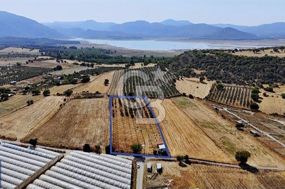 SATILIK TARLA MENDERES DEĞİRMENDEREDE 8.573 m2 ASFALT YOLA SIFIR