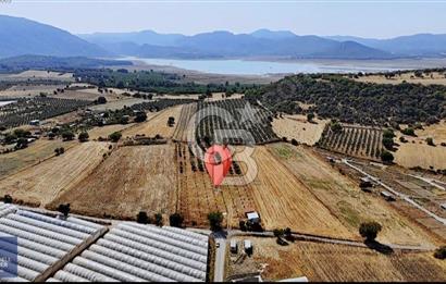SATILIK TARLA MENDERES DEĞİRMENDEREDE 8.573 m2 ASFALT YOLA SIFIR